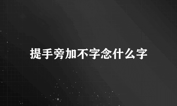 提手旁加不字念什么字