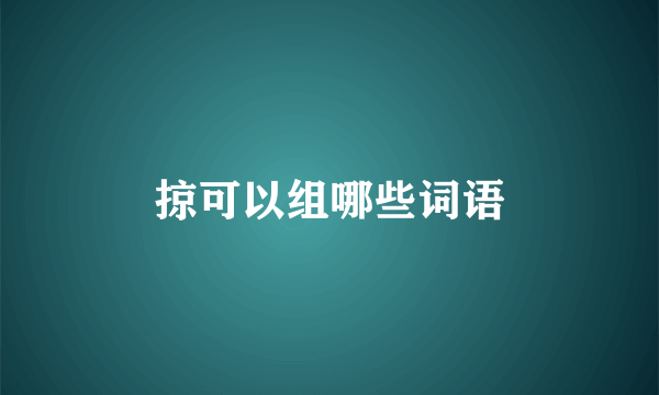 掠可以组哪些词语