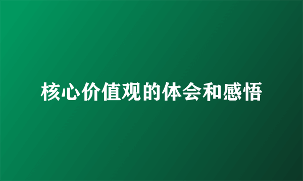 核心价值观的体会和感悟