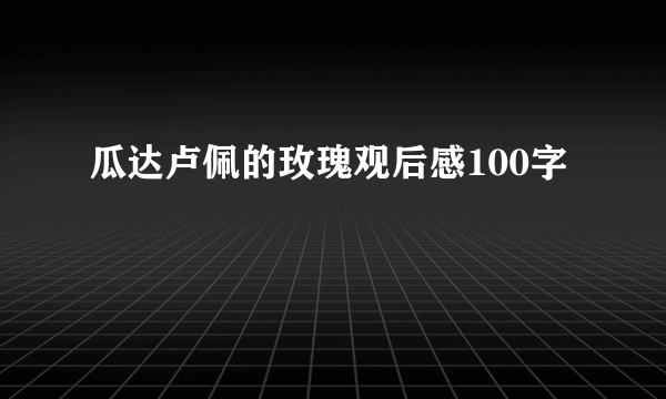 瓜达卢佩的玫瑰观后感100字