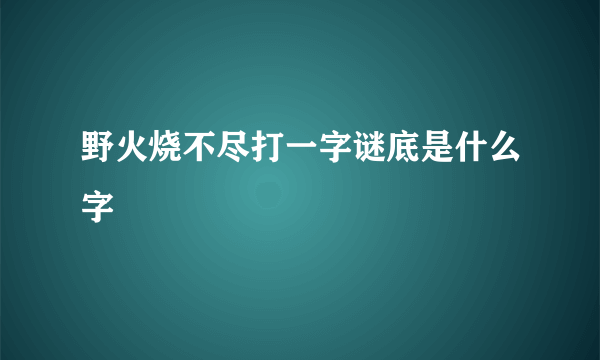 野火烧不尽打一字谜底是什么字