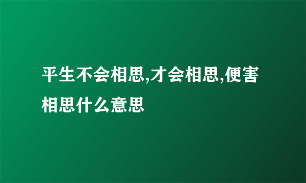 平生不会相思,才会相思,便害相思什么意思