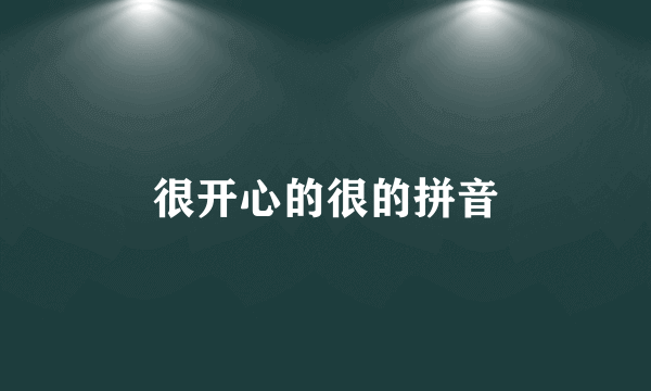 很开心的很的拼音