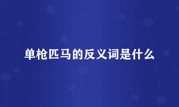 单枪匹马的反义词是什么