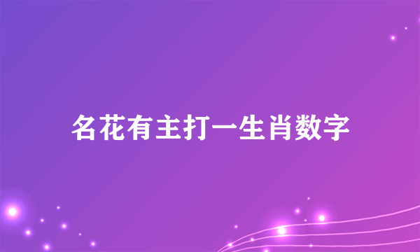 名花有主打一生肖数字
