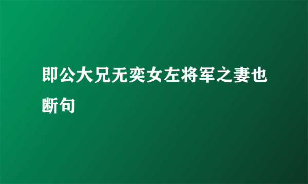 即公大兄无奕女左将军之妻也断句