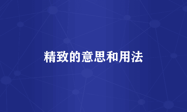 精致的意思和用法