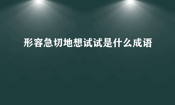 形容急切地想试试是什么成语