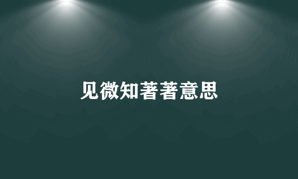 见微知著著意思