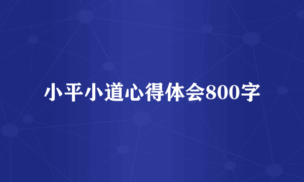 小平小道心得体会800字