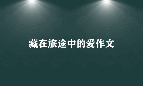 藏在旅途中的爱作文