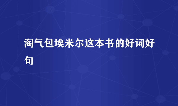 淘气包埃米尔这本书的好词好句