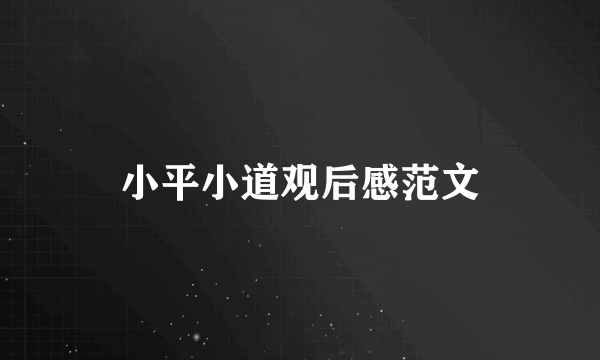 小平小道观后感范文