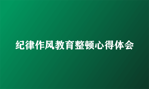纪律作风教育整顿心得体会