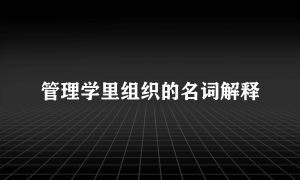 管理学里组织的名词解释