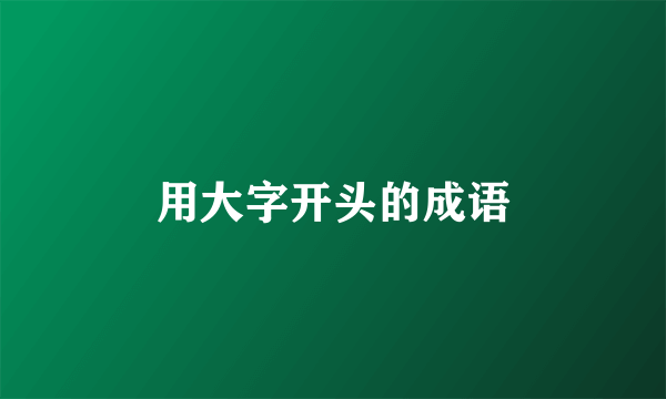 用大字开头的成语