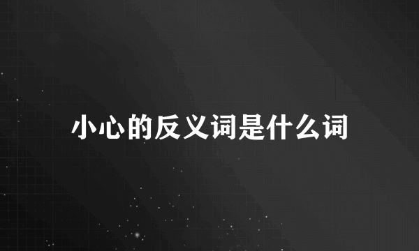 小心的反义词是什么词