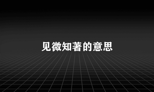 见微知著的意思