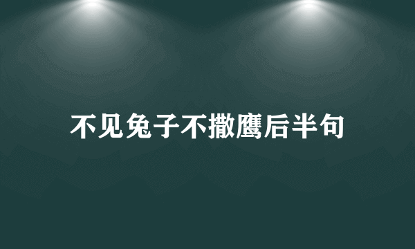不见兔子不撒鹰后半句
