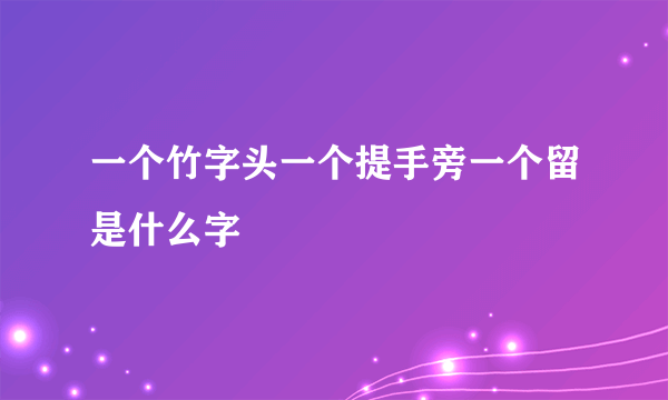 一个竹字头一个提手旁一个留是什么字