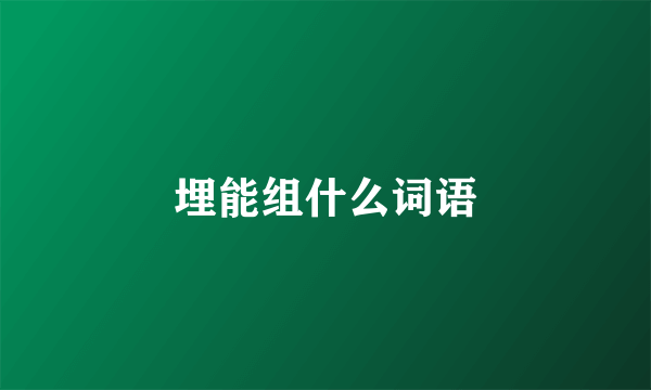埋能组什么词语