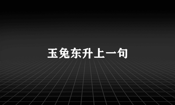 玉兔东升上一句