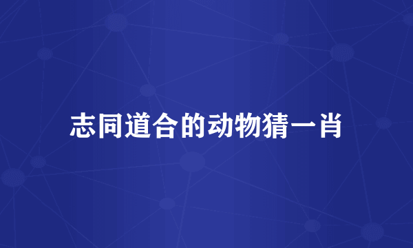 志同道合的动物猜一肖