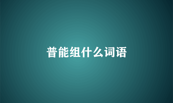 普能组什么词语