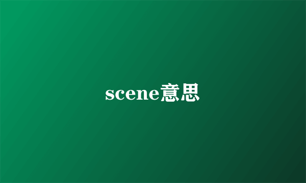 scene意思