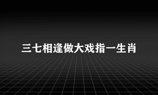 三七相逢做大戏指一生肖