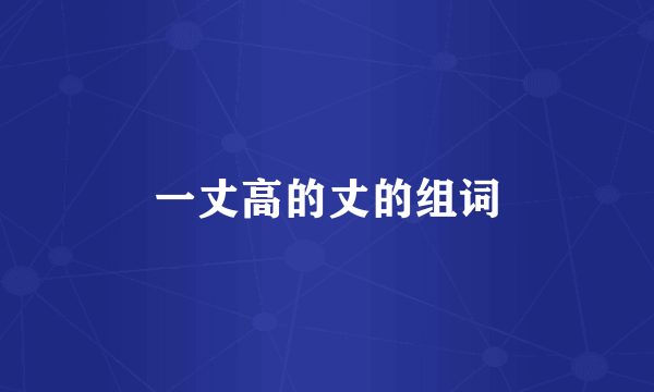 一丈高的丈的组词