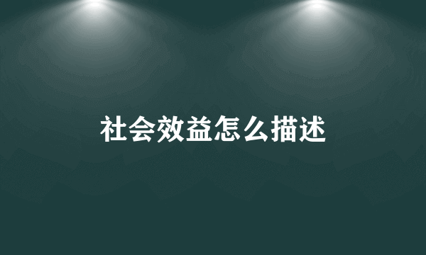 社会效益怎么描述