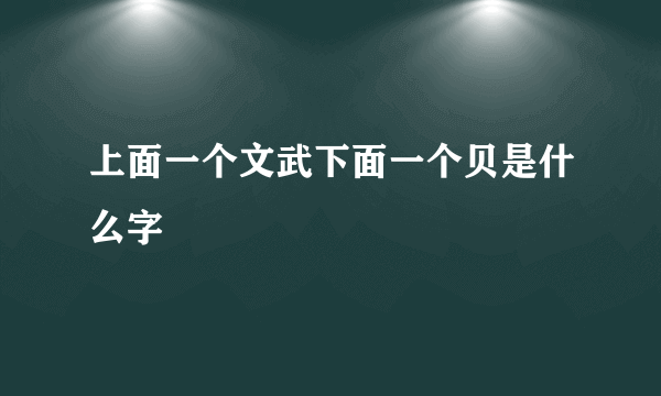 上面一个文武下面一个贝是什么字