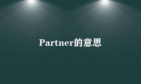 Partner的意思