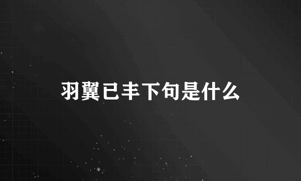 羽翼已丰下句是什么