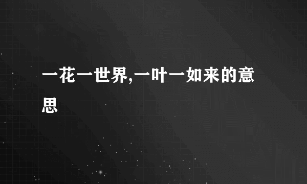 一花一世界,一叶一如来的意思
