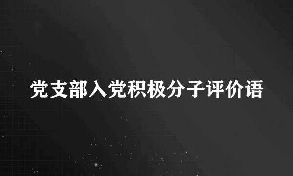 党支部入党积极分子评价语