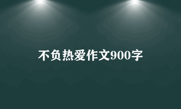 不负热爱作文900字
