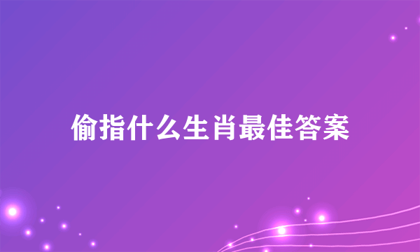 偷指什么生肖最佳答案