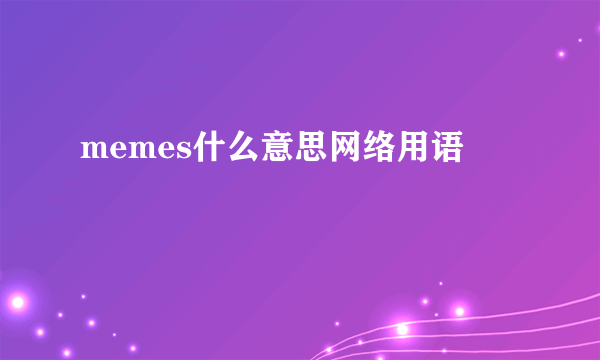 memes什么意思网络用语
