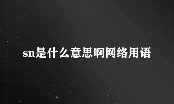 sn是什么意思啊网络用语