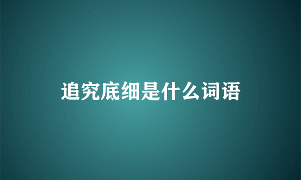 追究底细是什么词语