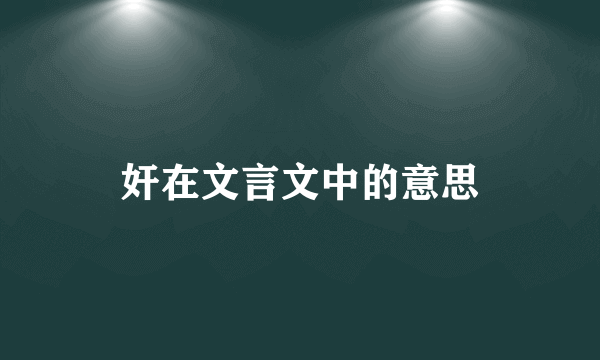 奸在文言文中的意思