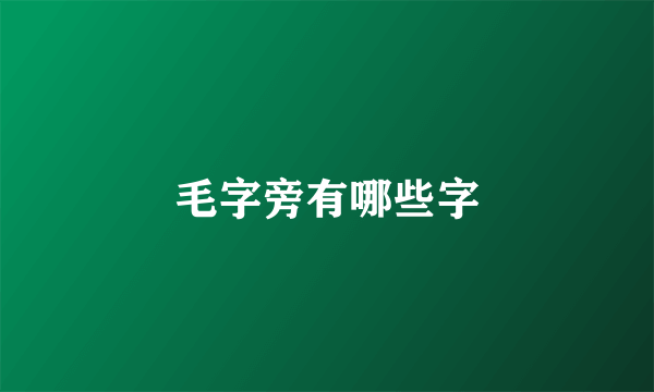 毛字旁有哪些字