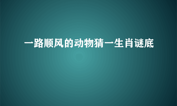 一路顺风的动物猜一生肖谜底