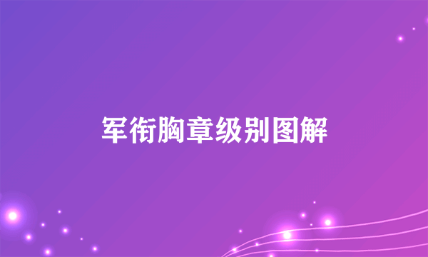 军衔胸章级别图解