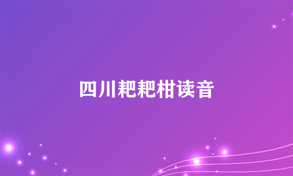 四川耙耙柑读音
