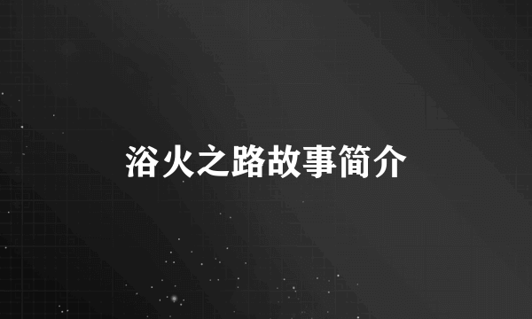 浴火之路故事简介