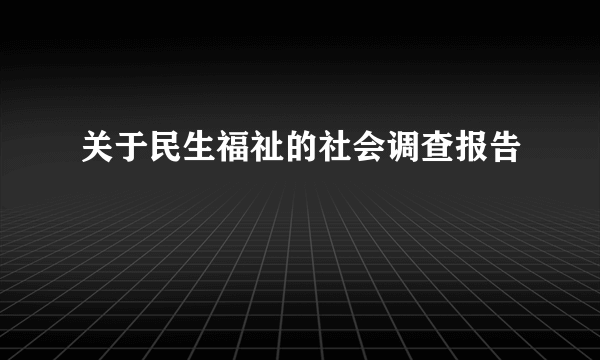 关于民生福祉的社会调查报告