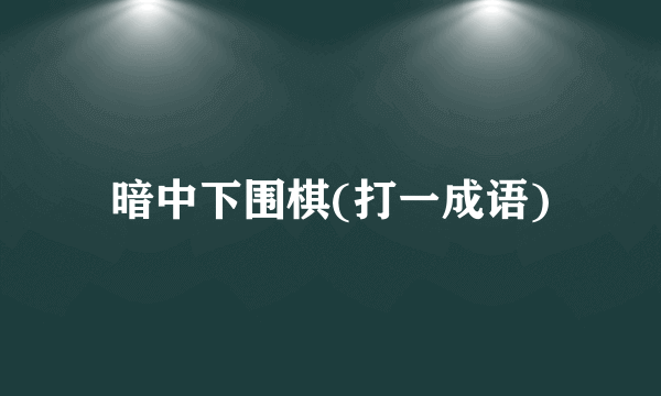 暗中下围棋(打一成语)